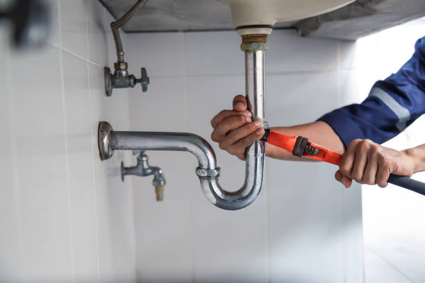 Best Plumbing Inspection Services  in Roxana, IL