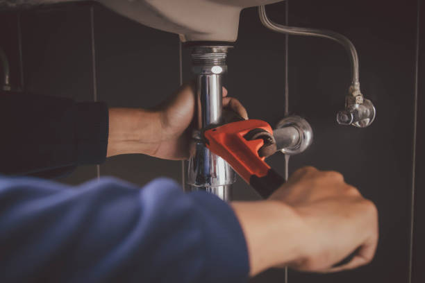 Best Residential Plumbing Services  in Roxana, IL